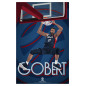 Affiche FFBB Rudy GOBERT Affiche FFBB Rudy GOBERT