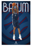 Affiche FFBB Nicolas BATUM