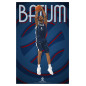 Affiche FFBB Nicolas BATUM