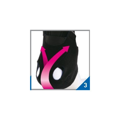 TALON D'ACHILLE AT-1